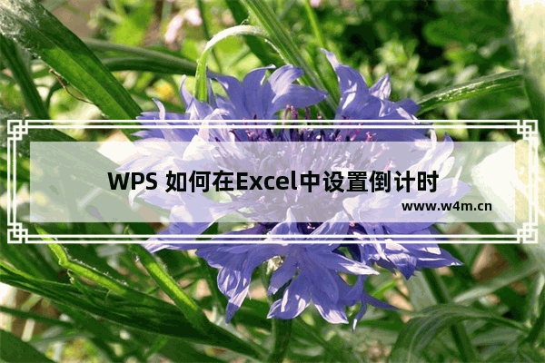 WPS 如何在Excel中设置倒计时