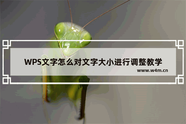 WPS文字怎么对文字大小进行调整教学