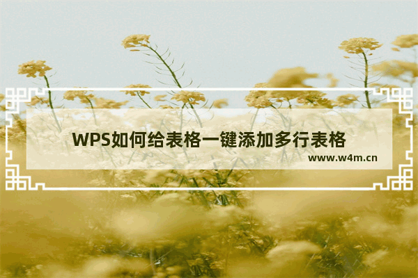 WPS如何给表格一键添加多行表格