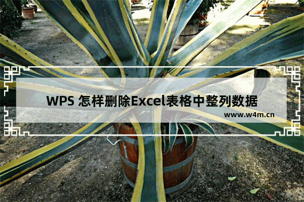 WPS 怎样删除Excel表格中整列数据的单位