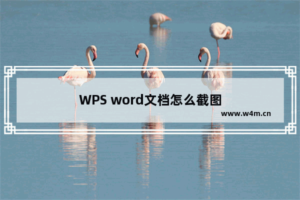 WPS word文档怎么截图