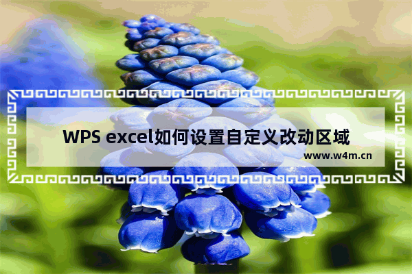 WPS excel如何设置自定义改动区域