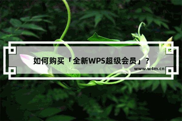 如何购买「全新WPS超级会员」？