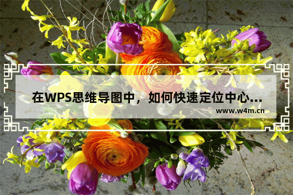 在WPS思维导图中，如何快速定位中心主题？