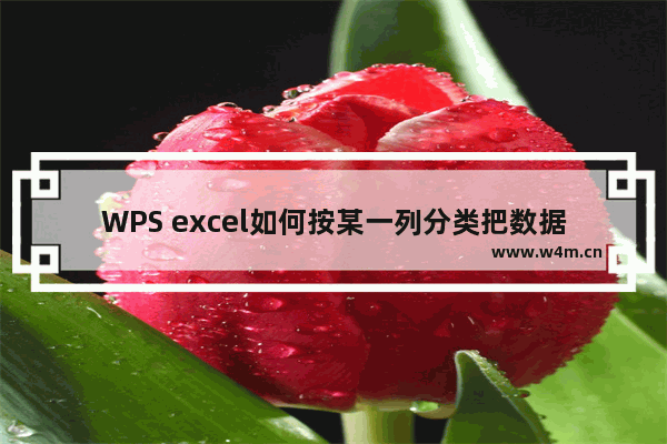 WPS excel如何按某一列分类把数据拆分成多个表格