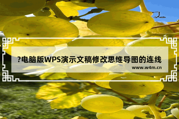 ?电脑版WPS演示文稿修改思维导图的连线颜色