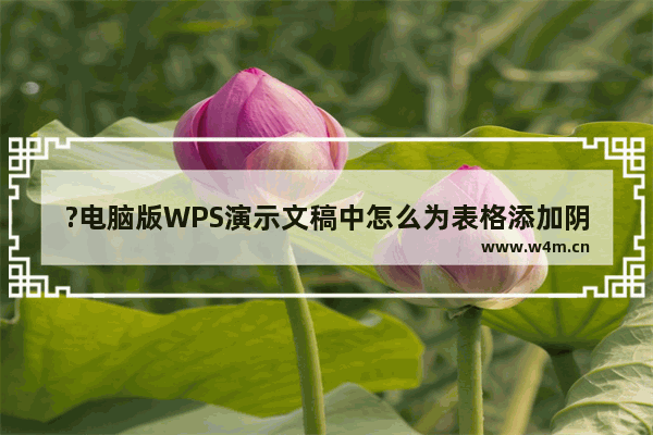 ?电脑版WPS演示文稿中怎么为表格添加阴影效果