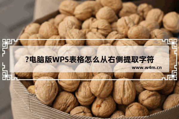 ?电脑版WPS表格怎么从右侧提取字符