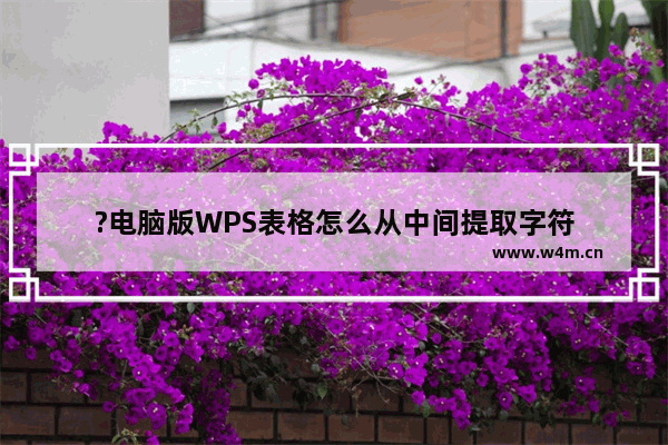 ?电脑版WPS表格怎么从中间提取字符