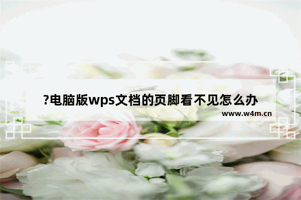 ?电脑版wps文档的页脚看不见怎么办