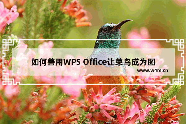 如何善用WPS Office让菜鸟成为图片大师