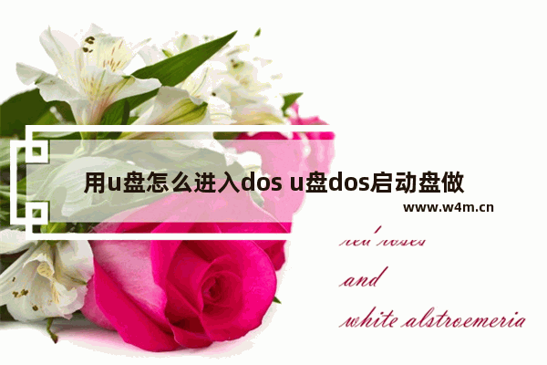 用u盘怎么进入dos u盘dos启动盘做好后如何启动