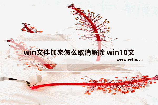 win文件加密怎么取消解除 win10文件加密怎么取消