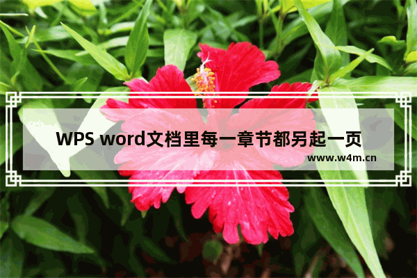 WPS word文档里每一章节都另起一页的方法