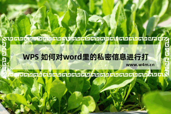 WPS 如何对word里的私密信息进行打码