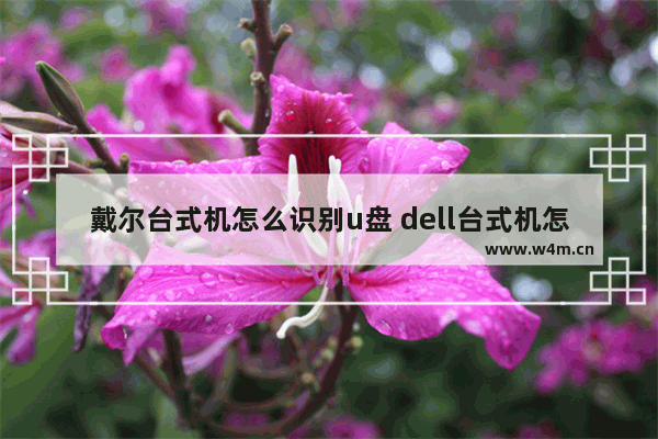 戴尔台式机怎么识别u盘 dell台式机怎么u盘启动zol问答