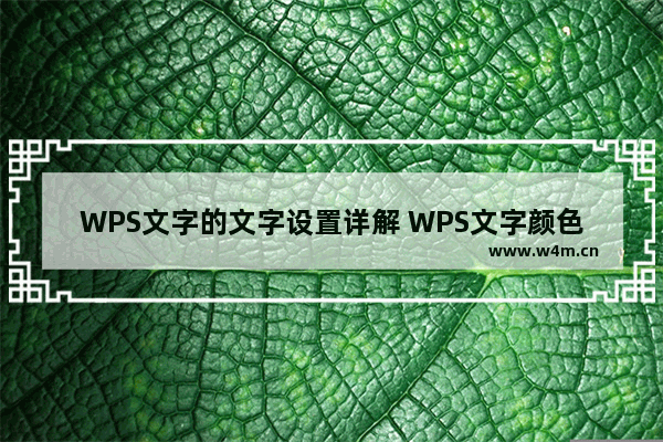 WPS文字的文字设置详解 WPS文字颜色的设置技巧