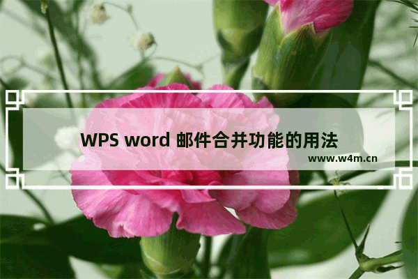 WPS word 邮件合并功能的用法