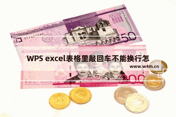 WPS excel表格里敲回车不能换行怎么办