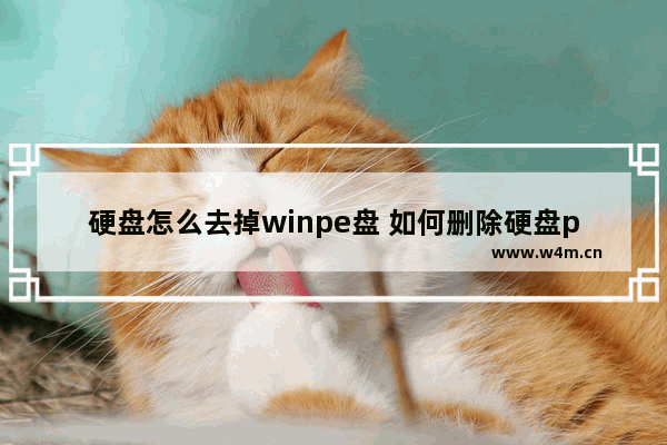 硬盘怎么去掉winpe盘 如何删除硬盘pe系统