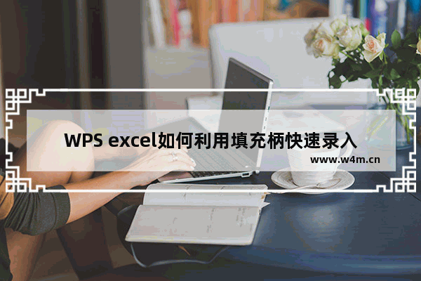 WPS excel如何利用填充柄快速录入