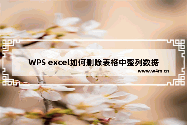 WPS excel如何删除表格中整列数据的单位