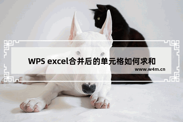 WPS excel合并后的单元格如何求和与统计