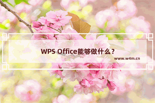 WPS Office能够做什么？