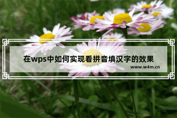 在wps中如何实现看拼音填汉字的效果