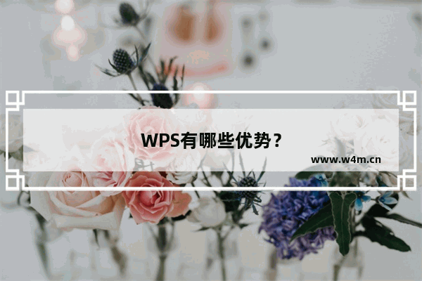 WPS有哪些优势？