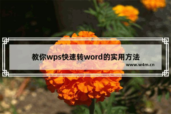 教你wps快速转word的实用方法