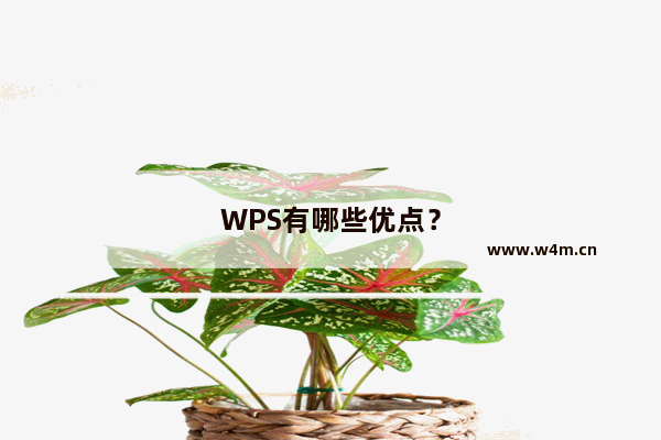 WPS有哪些优点？