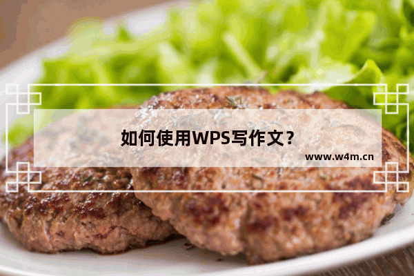 如何使用WPS写作文？