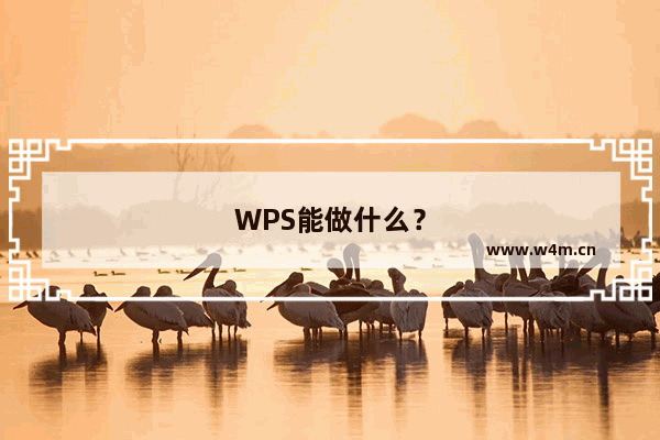 WPS能做什么？