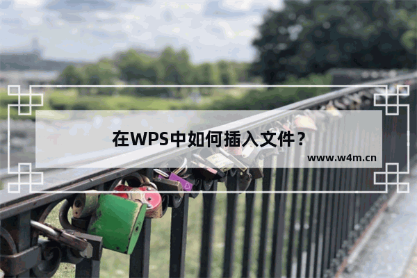 在WPS中如何插入文件？