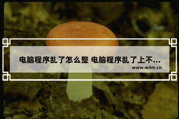 电脑程序乱了怎么整 电脑程序乱了上不上网怎么办