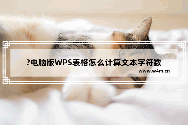 ?电脑版WPS表格怎么计算文本字符数