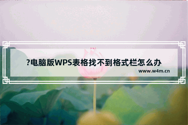 ?电脑版WPS表格找不到格式栏怎么办