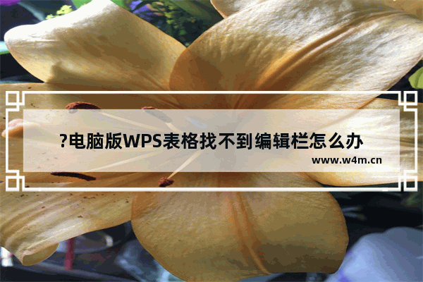 ?电脑版WPS表格找不到编辑栏怎么办