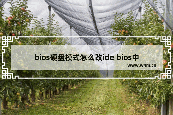 bios硬盘模式怎么改ide bios中更改硬盘模式