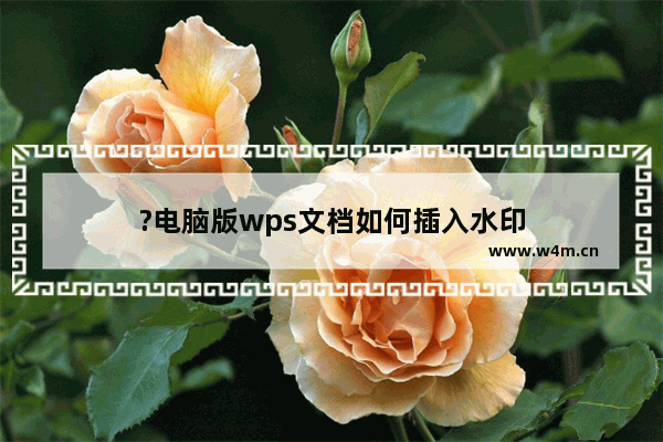 ?电脑版wps文档如何插入水印