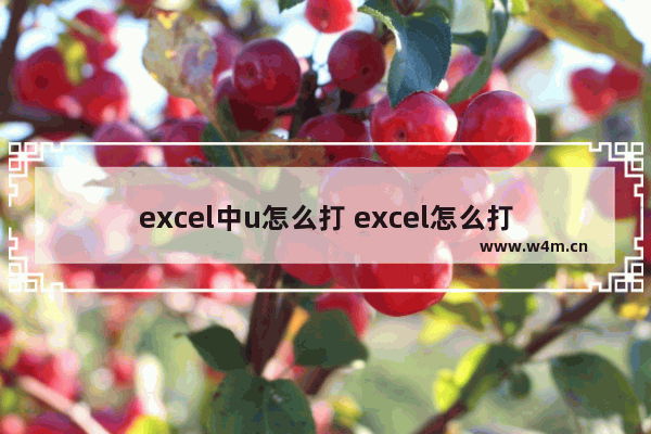 excel中u怎么打 excel怎么打