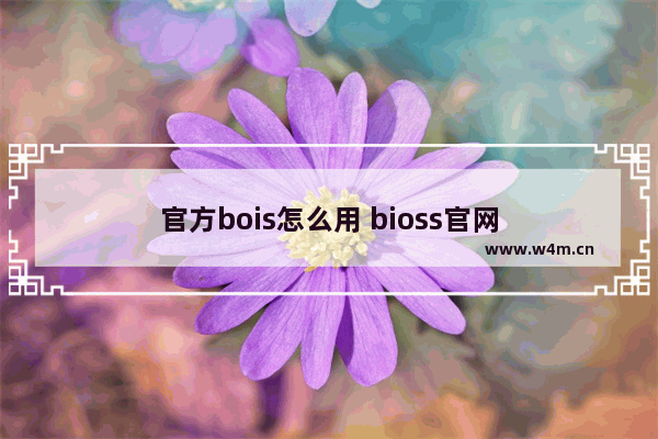 官方bois怎么用 bioss官网