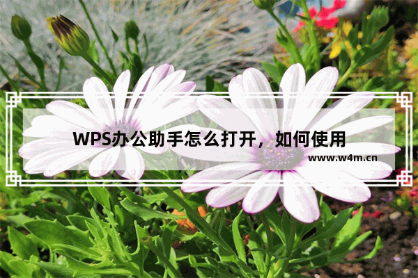 WPS办公助手怎么打开，如何使用