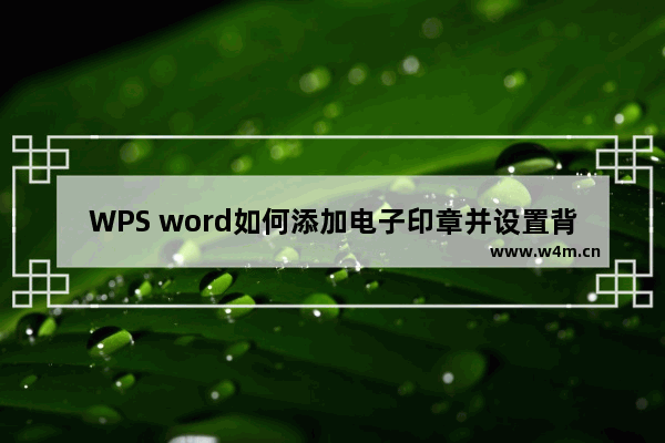 WPS word如何添加电子印章并设置背景透明