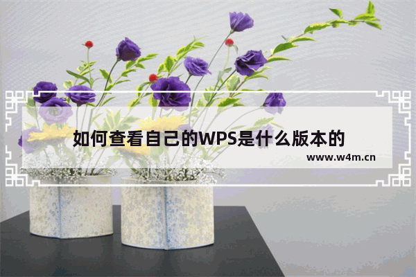 如何查看自己的WPS是什么版本的