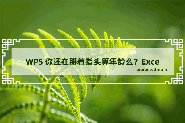 WPS 你还在掰着指头算年龄么？Excel教你一招搞定！