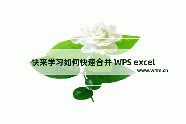 快来学习如何快速合并 WPS excel的多列数据吧