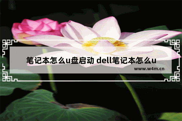 笔记本怎么u盘启动 dell笔记本怎么u盘启动