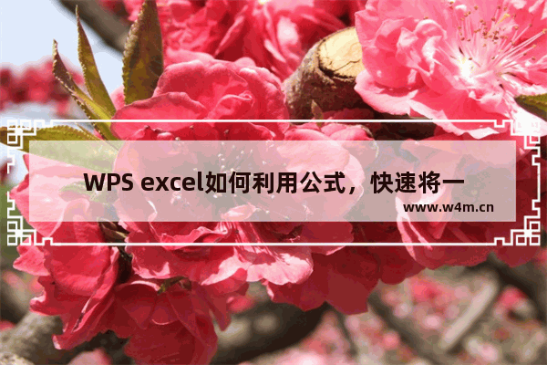 WPS excel如何利用公式，快速将一串数字转换为日期格式